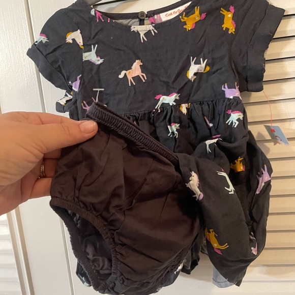 Unicorns - Picture 2 of 3